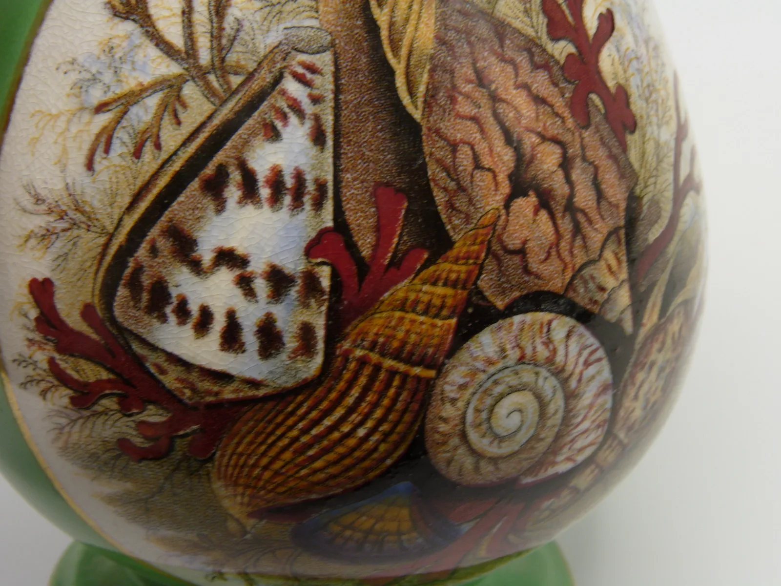 Green Ground Syrup Pitcher - Shells - Image 6