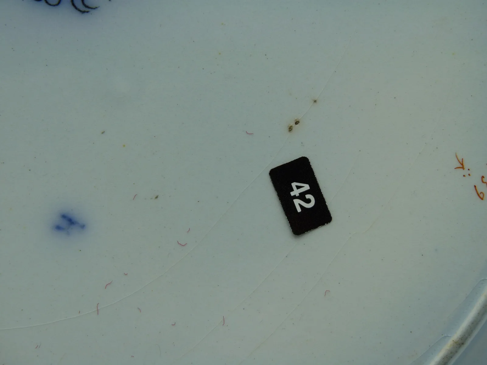 Flow Blue Polychrome “Iris” Plate (B42) - Image 7