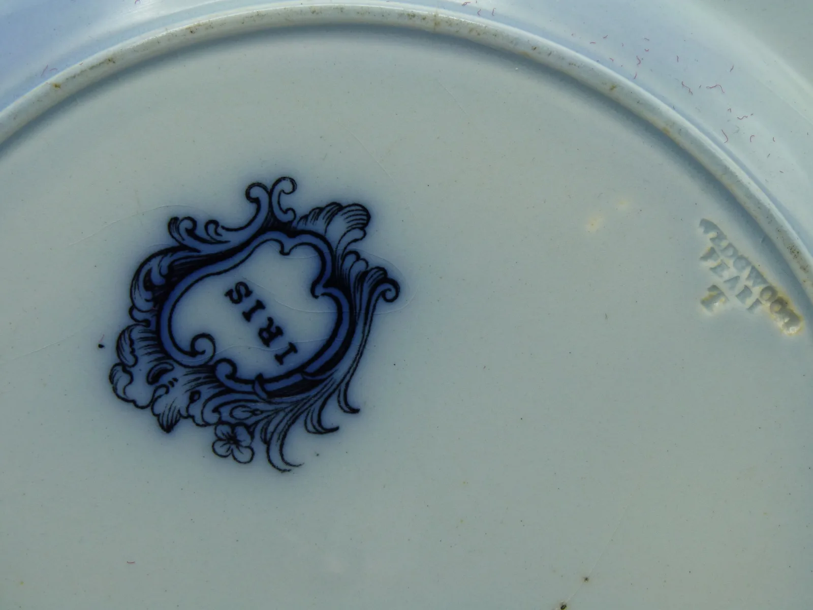 Flow Blue Polychrome “Iris” Plate (B42) - Image 8