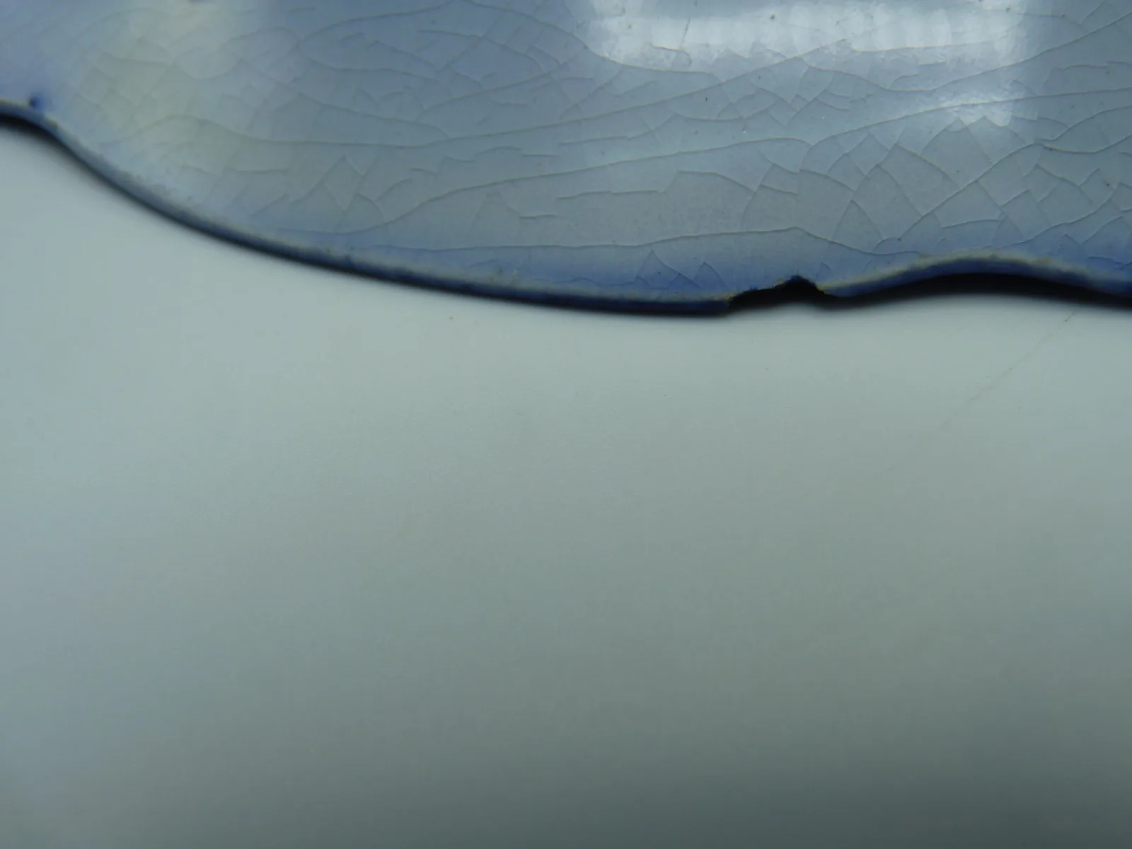 Flow Blue Clytie Turkey Plate - Image 5