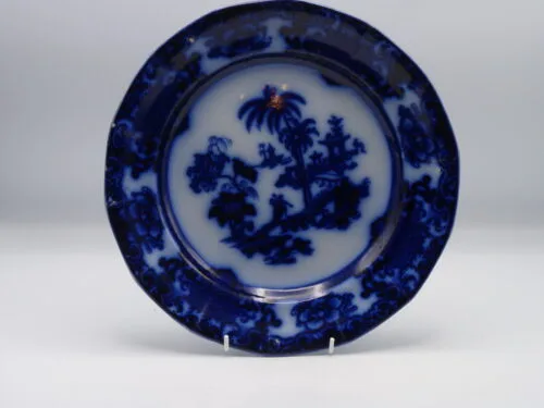 Early Flow Blue  Plate Shapoo