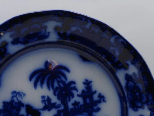 Early Flow Blue  Plate Shapoo - Image 5