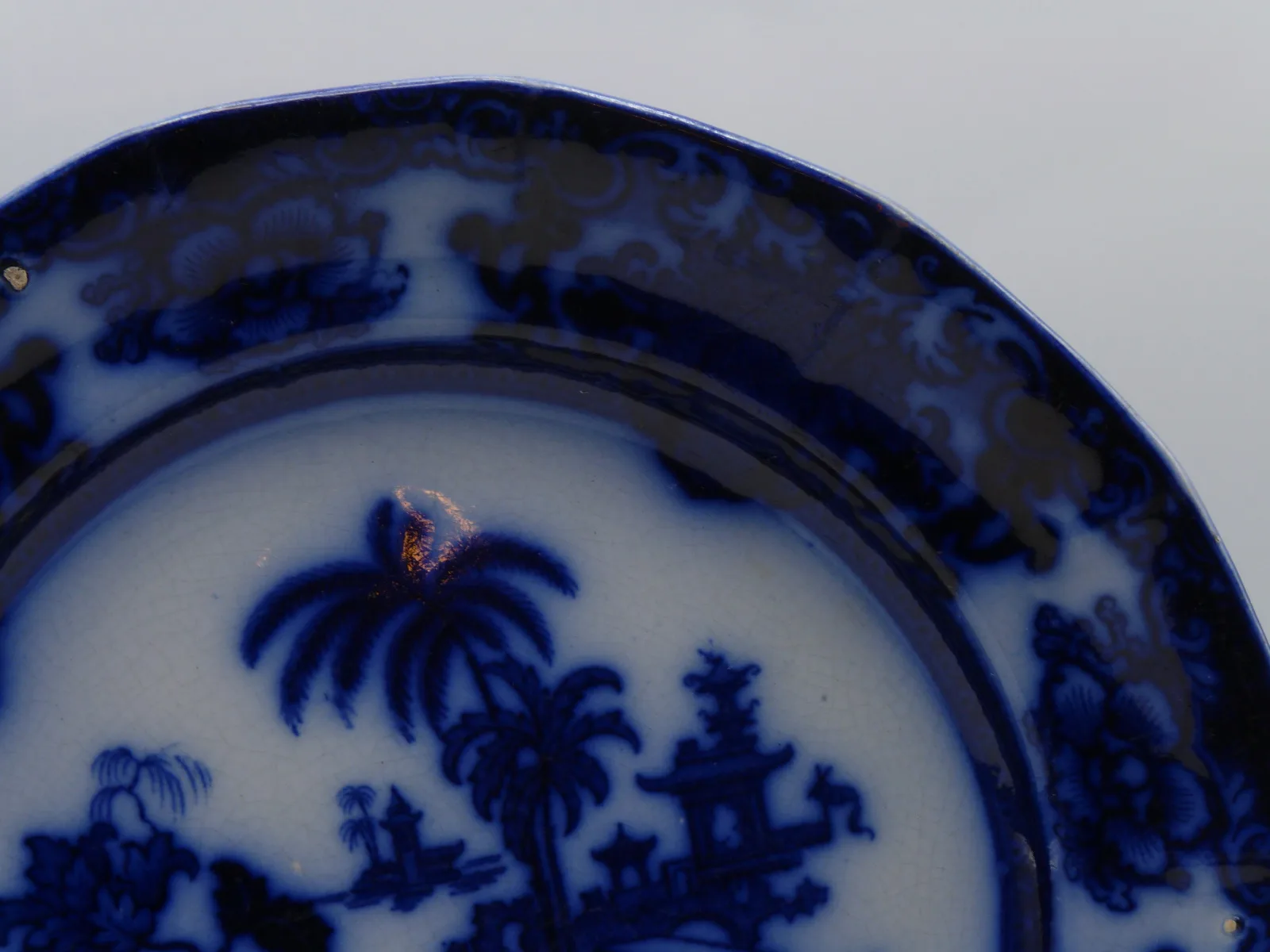Early Flow Blue  Plate Shapoo - Image 5