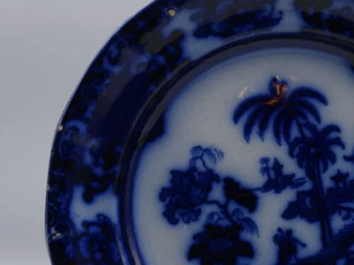 Early Flow Blue  Plate Shapoo - Image 4
