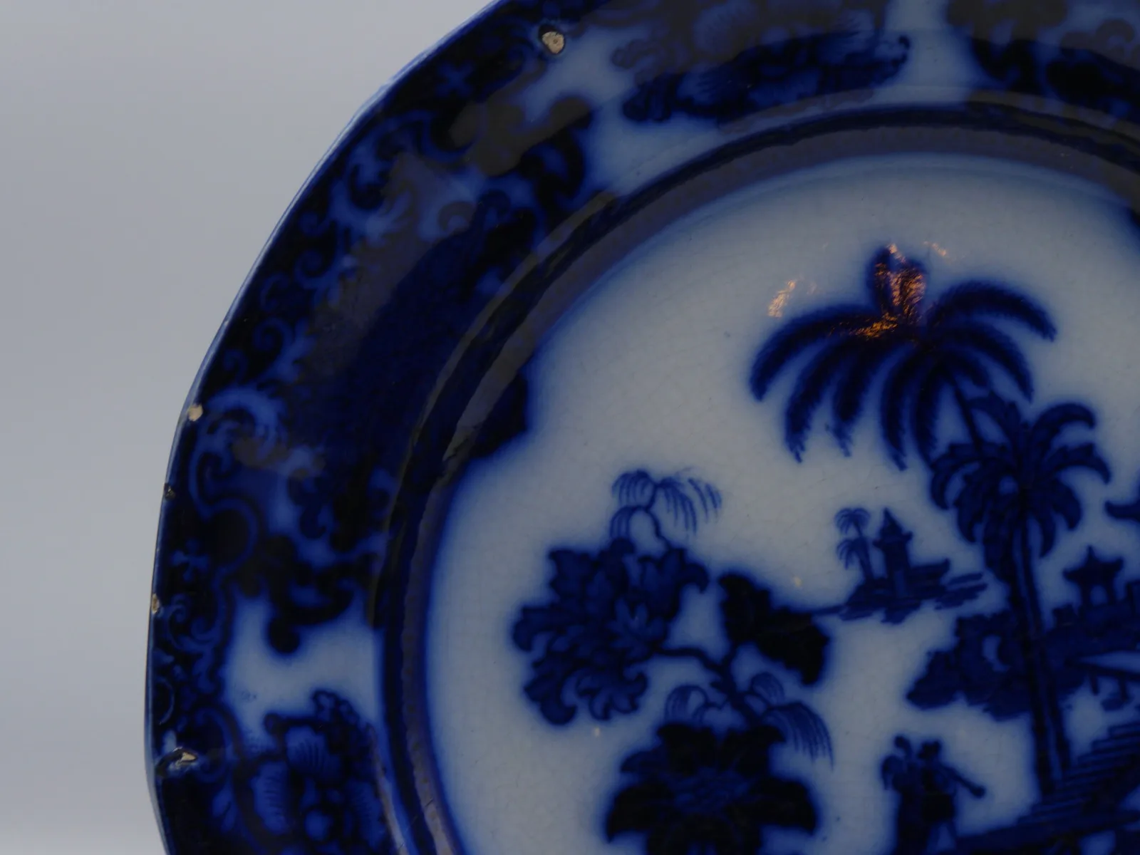 Early Flow Blue  Plate Shapoo - Image 4