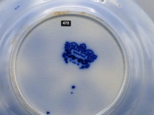Early Flow Blue  Plate Shapoo - Image 2
