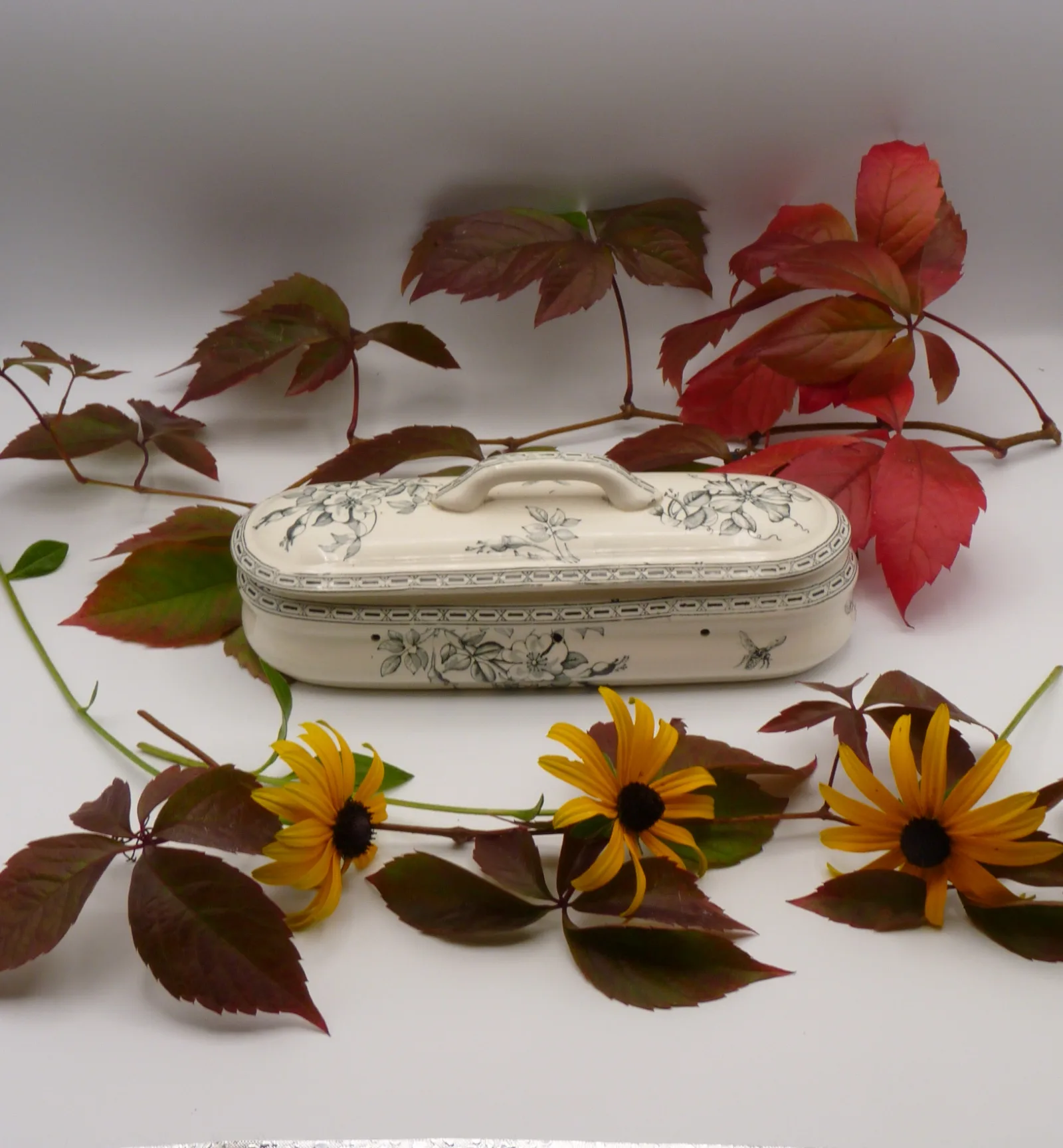 Toothbrush Box Box - Transferware - Dog Rose & Bee