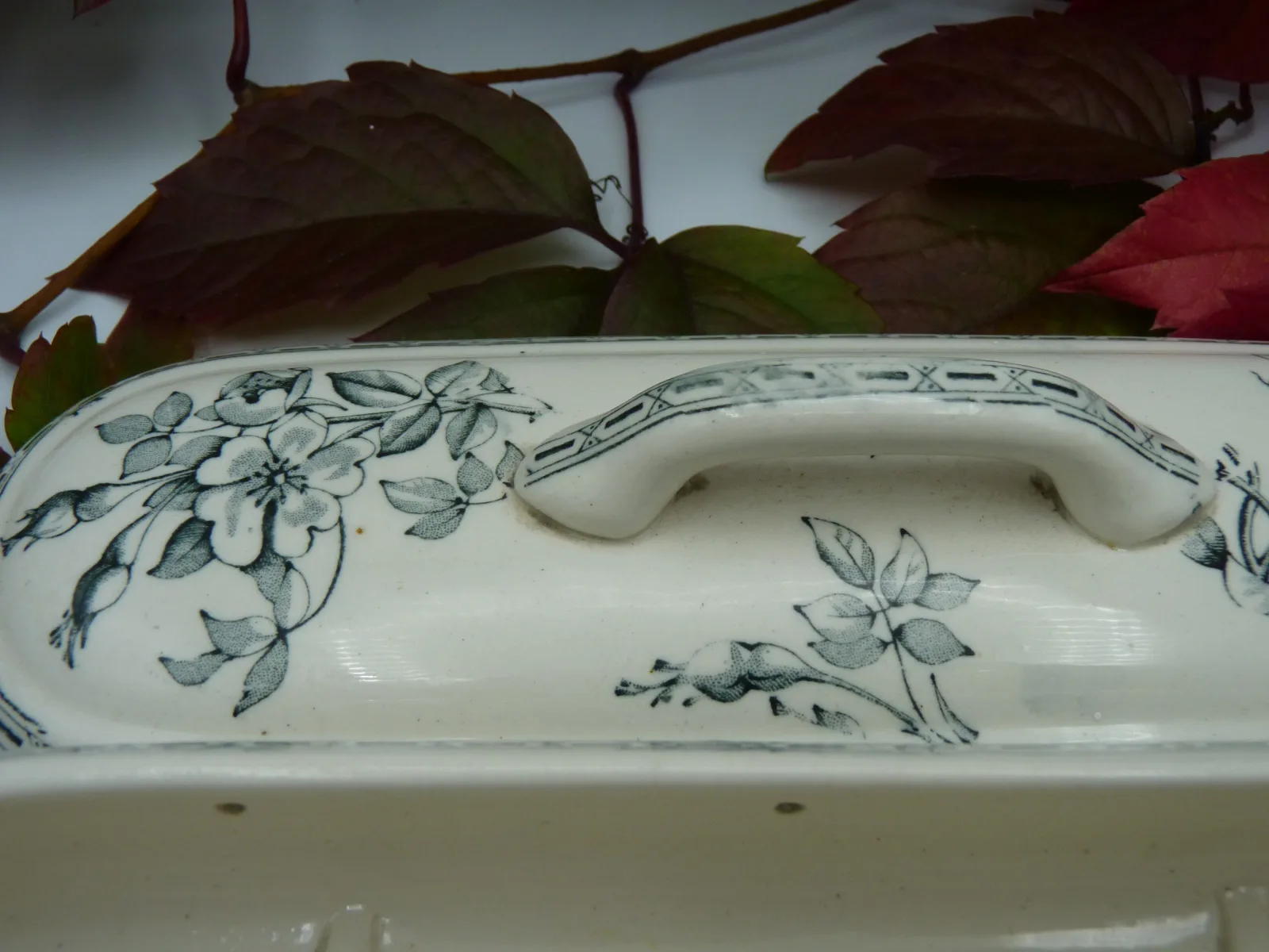 Toothbrush Box Box - Transferware - Dog Rose & Bee - Image 6