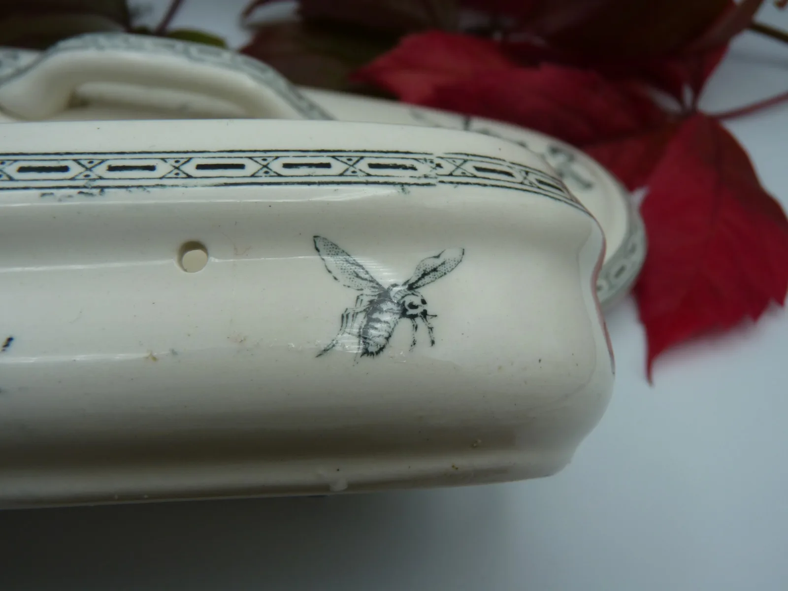 Toothbrush Box Box - Transferware - Dog Rose & Bee - Image 3
