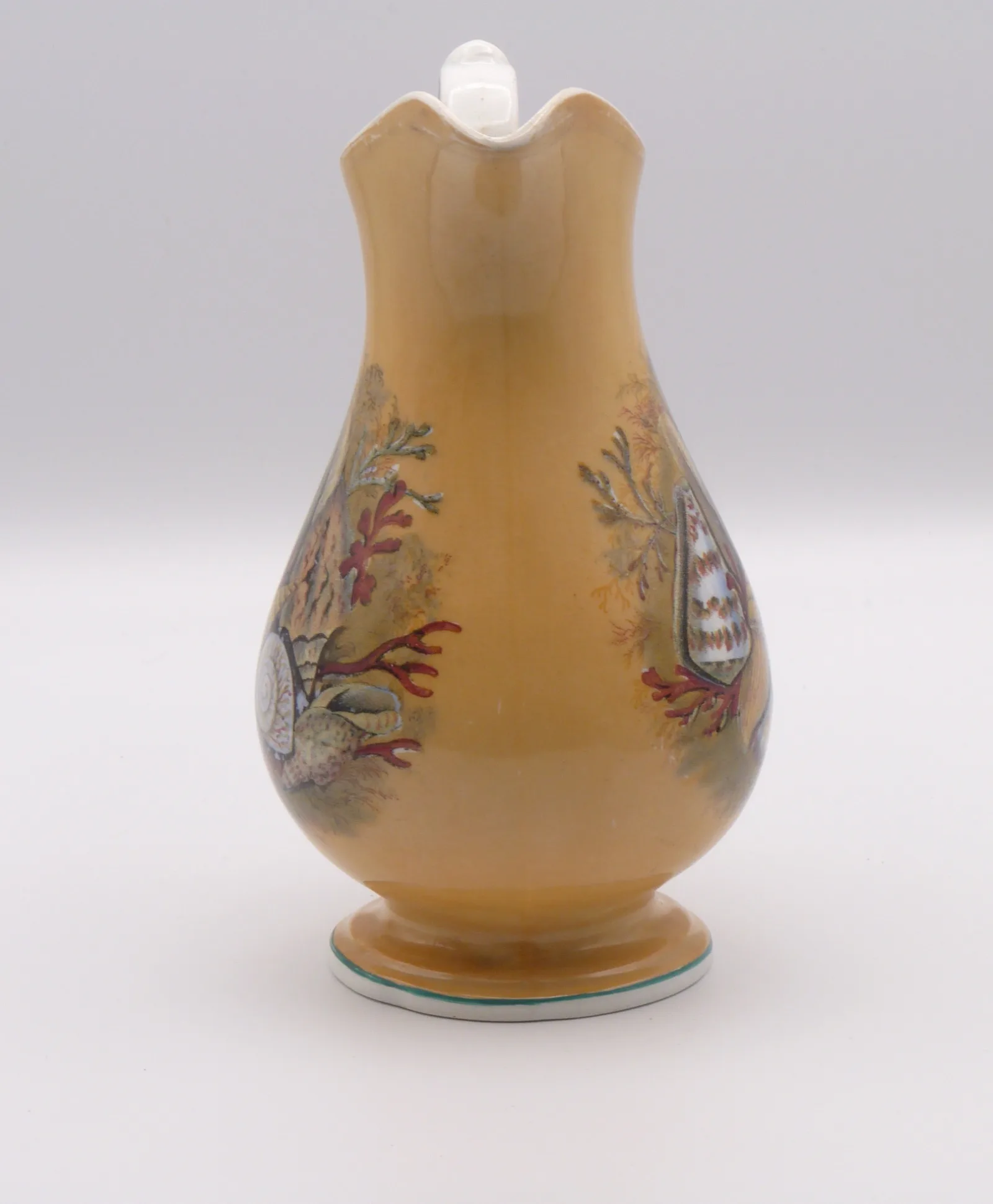 Orange/Peach Ground Syrup Pitcher - Shells - Image 6